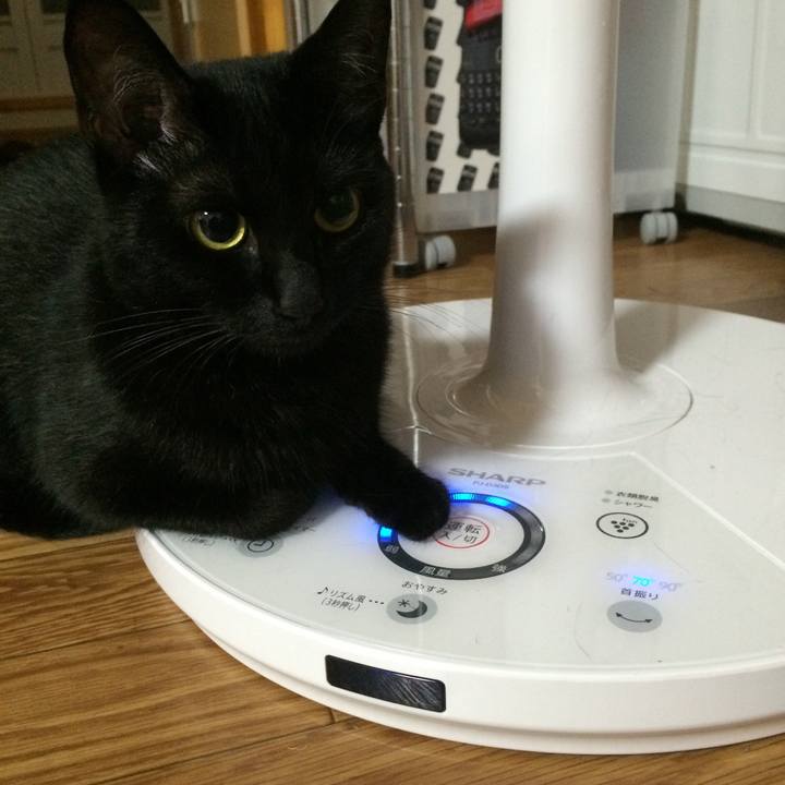 258e73a5 1cf2 4cfc a3f8 6460c46eb151