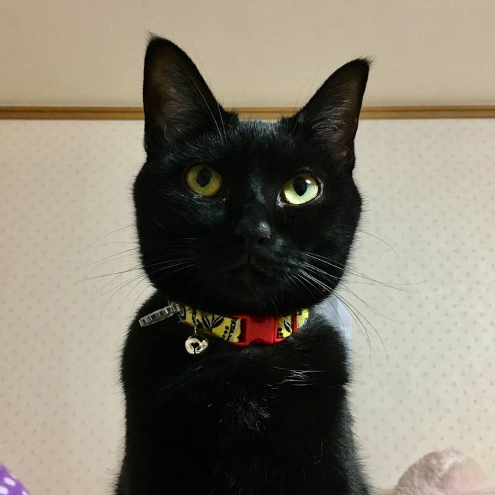 258f840c 8d7f 42a7 9f3a 9855f9721f80