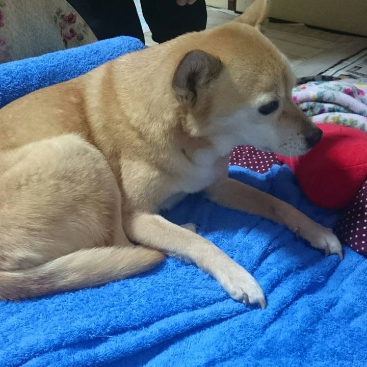 258fa4cf e5ff 4599 ae54 7f8d5d9071c7