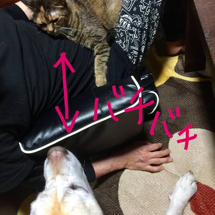 258fec8d 2a5d 4e92 bf2e e545be778086