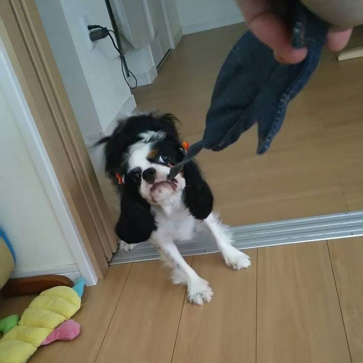 2590f9e1 7c12 40d0 aad9 a9475365609a