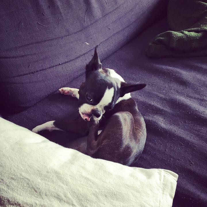 259111d3 d074 47ac bcc8 265e602bed00