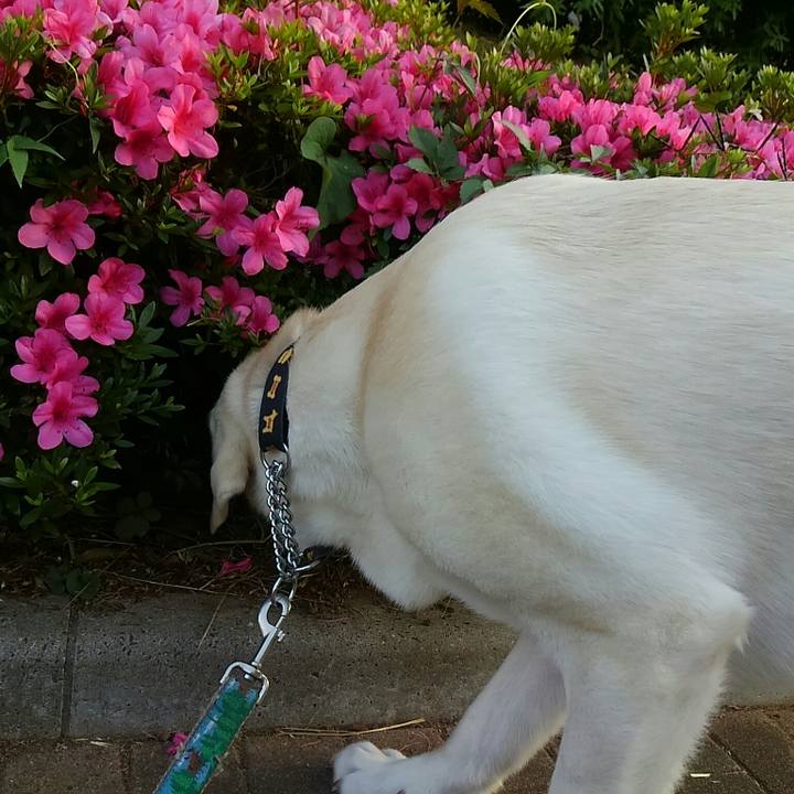 25916af2 3f69 4912 9ffe ca174f474341