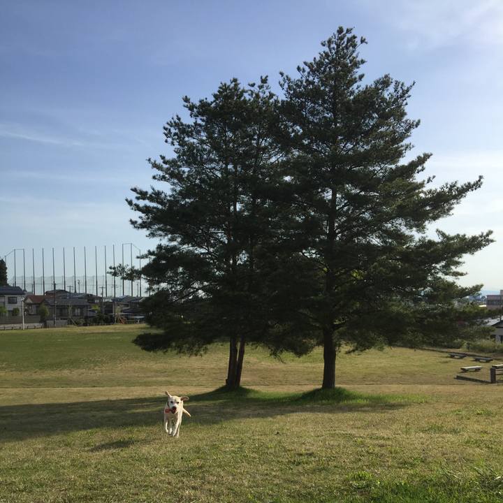 25917ed9 4ee5 443f b0cc 4221f38f03f4