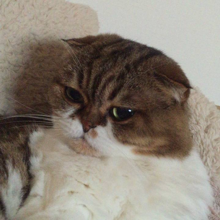 25923d68 f0f9 4b37 a9d5 0cb08a98a824