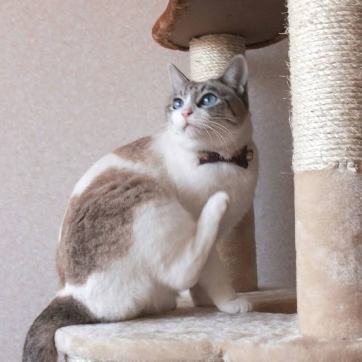 25925be8 2ab7 4589 95ab fba6329d309e