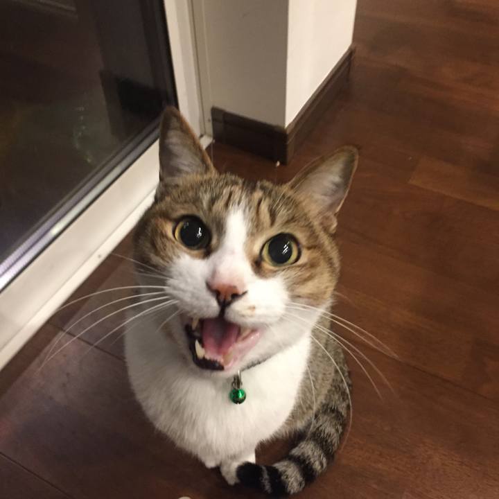 259262c1 6872 4d14 8094 7b96284348e9