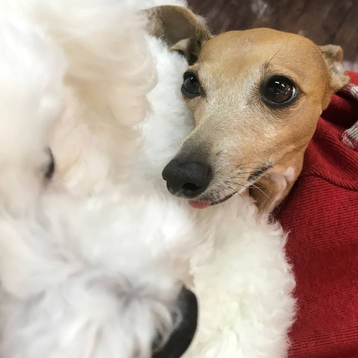 2592858c c299 48bf 892b 7bc68a08f412