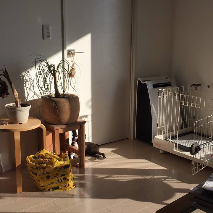 259339e1 3b78 4001 9479 b3d1de869958