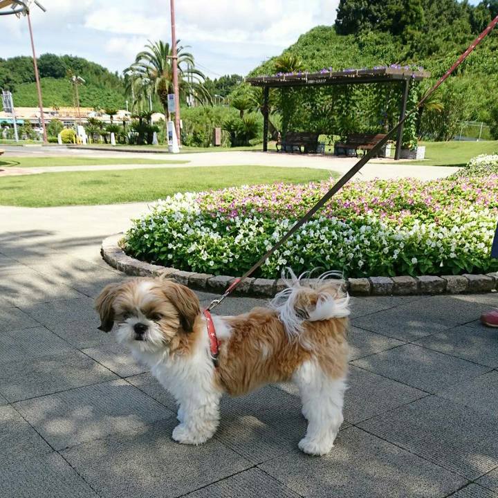 25936057 d2a6 421b 8645 b967cd686230