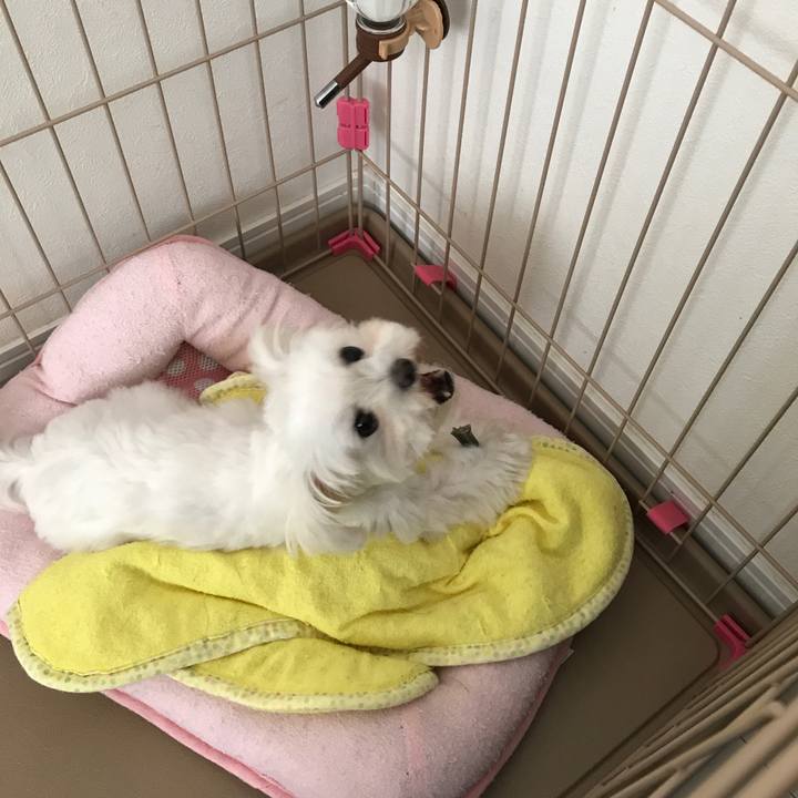 259364c3 2fe0 4edf b311 841bf7859216