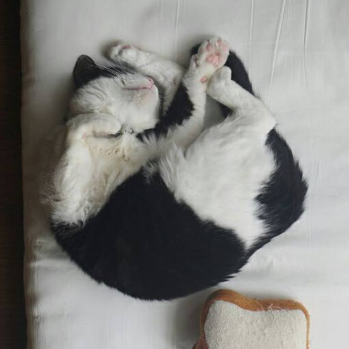 25936853 35f0 40c1 9f36 3c6dfded851a