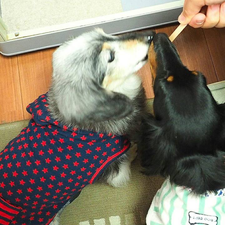 2593c11d 2ddd 42e9 b29e 197b29057619