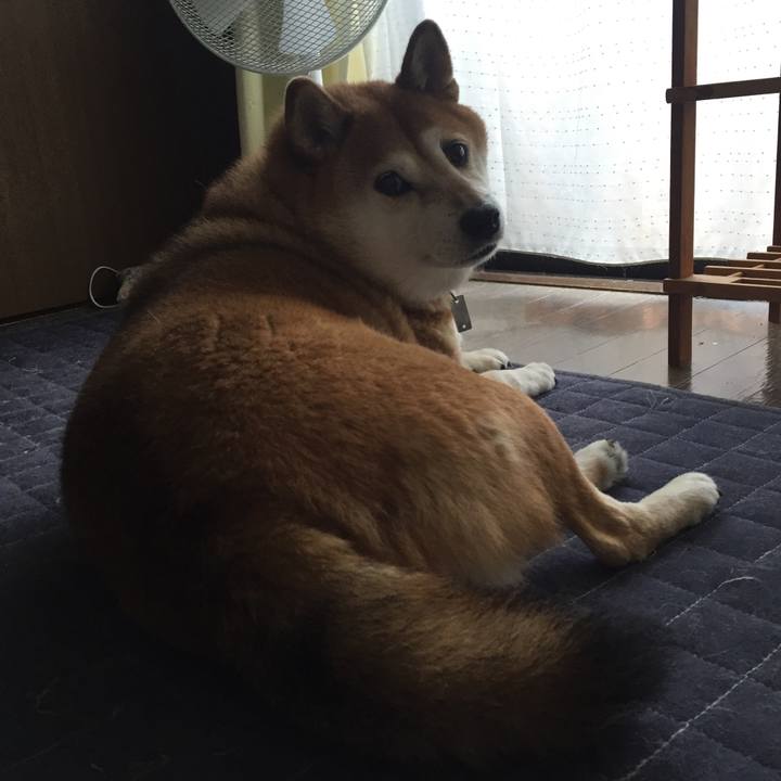 25940e09 45b0 4e8f 9666 b4dcae940656