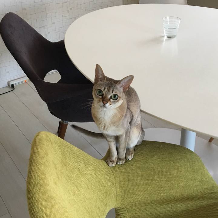 25943e85 505e 4f45 9ae0 f2aa941078d6