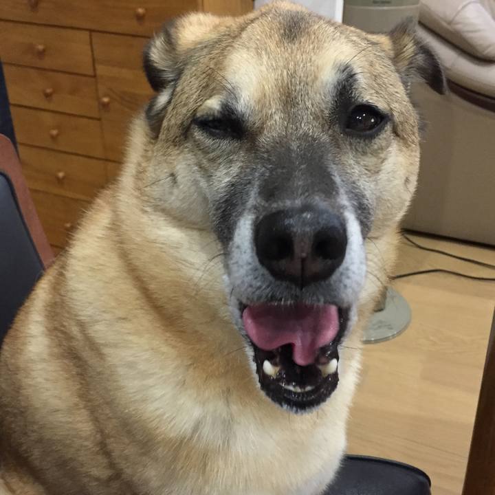 2594410a e93f 4f19 a3e1 522795d0eb61