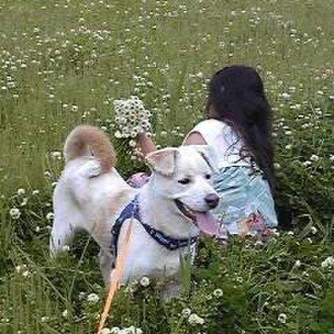 2594c2af 0451 431f bfa3 37e5514117f3