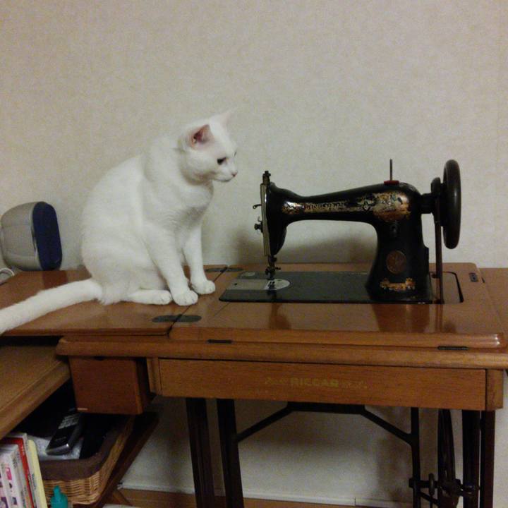 2594c9b4 89a8 4d5e a269 662f2a441ec9