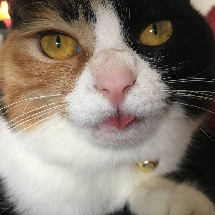 2594f610 3b67 4958 90b9 f701bbf732b6