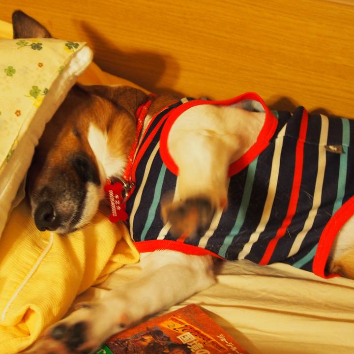 25957fd3 aa59 4103 81bc 2d3486f0e7e2