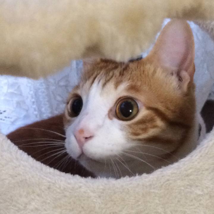 2595ce6d a7ce 43ca 8acd f7d8a2ea2b19