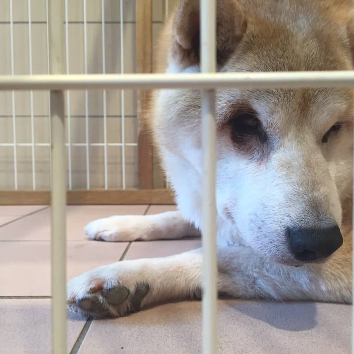 25967a6a e5f6 47d8 ace1 d5c167bf221a