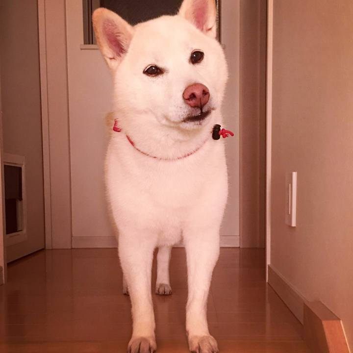 25969d90 c95e 462f 9b97 883b5fe032ae