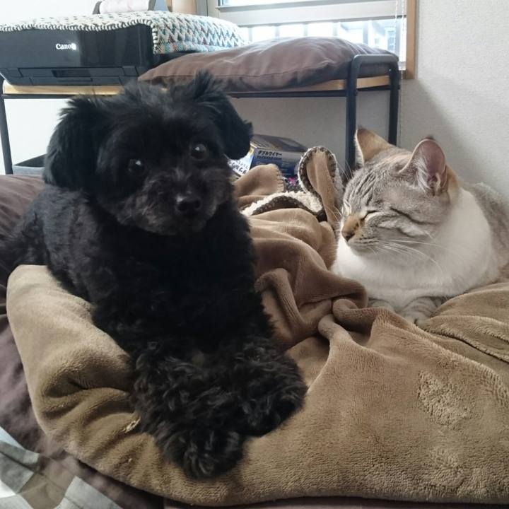 25975cd3 031b 4380 8b7c 940c925bce3b