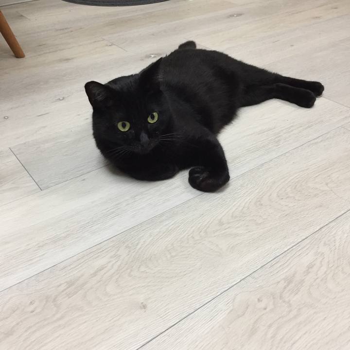 25980da8 85e2 4dae be1a cb0df8a25680