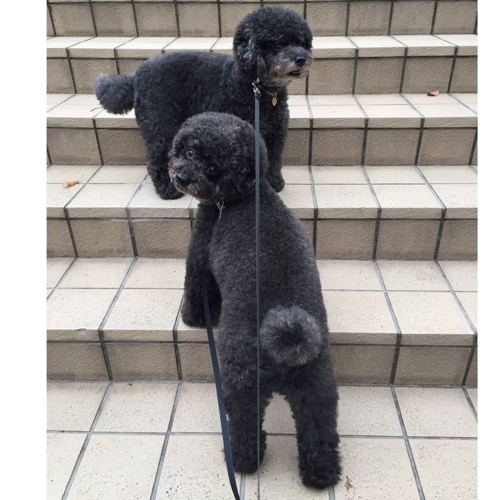 25985526 9a2c 423b ad24 f10320c53b18