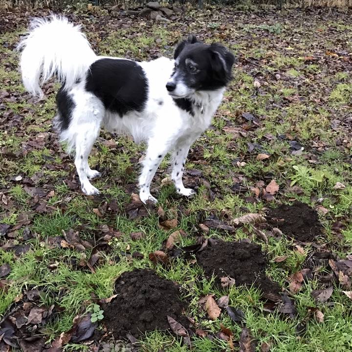 2598ed6f f3f4 4191 876d 12bb751a3cf9