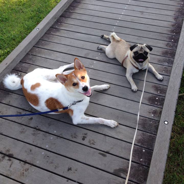 2599428f fe14 497f a88a 49e179883cc5