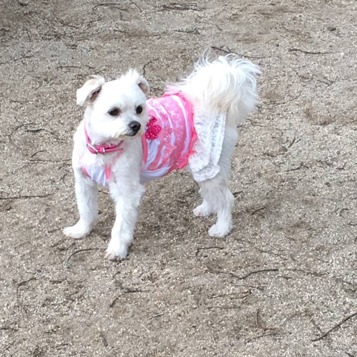 2599638d 0c29 4c92 9bed 0ff55c6944f2