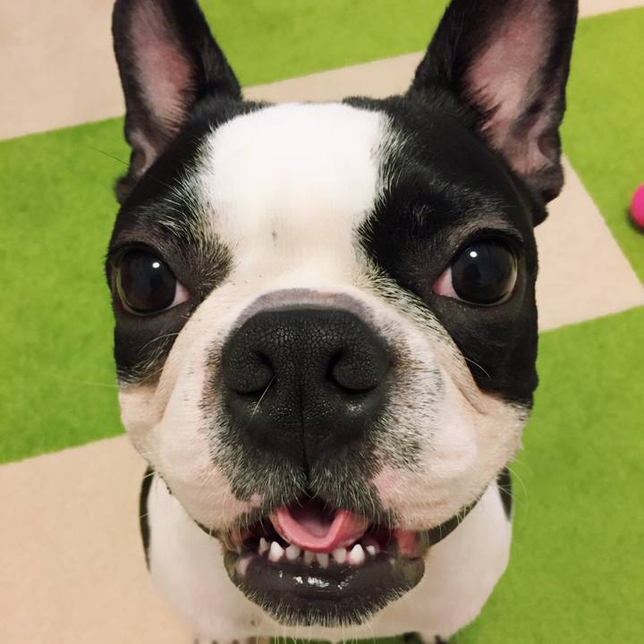 259968cb d159 4fcb 8baa 6f4748f121d4