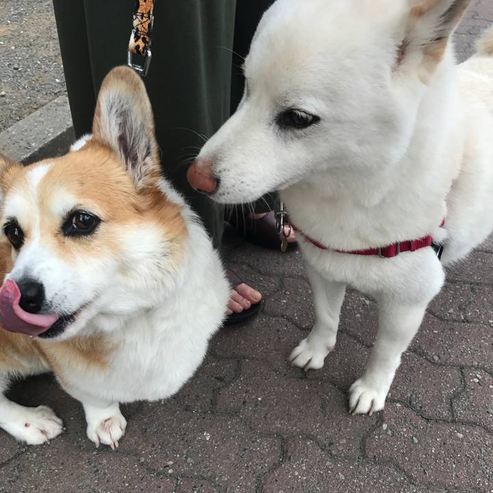 25998c40 fab1 422e b031 98a6ae97ef90