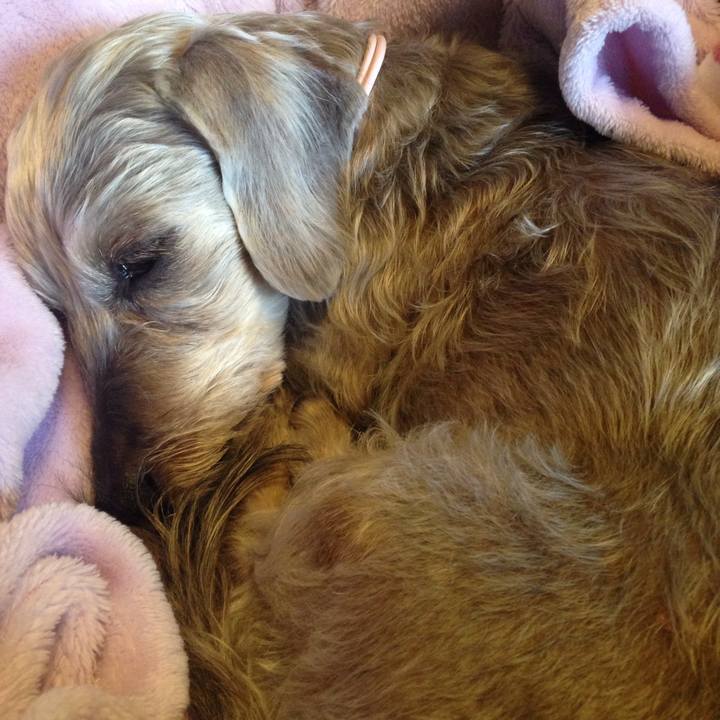 2599dfd2 d763 4f15 9ee6 3c4613163aa3