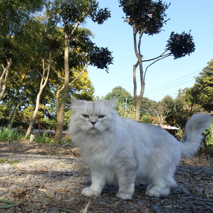 259a0b57 4a42 4aa9 b959 1c599e24334c