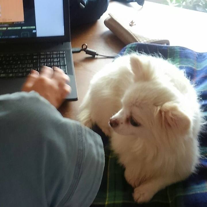 259a3f43 0165 43c6 a28b 69ef730d54cf