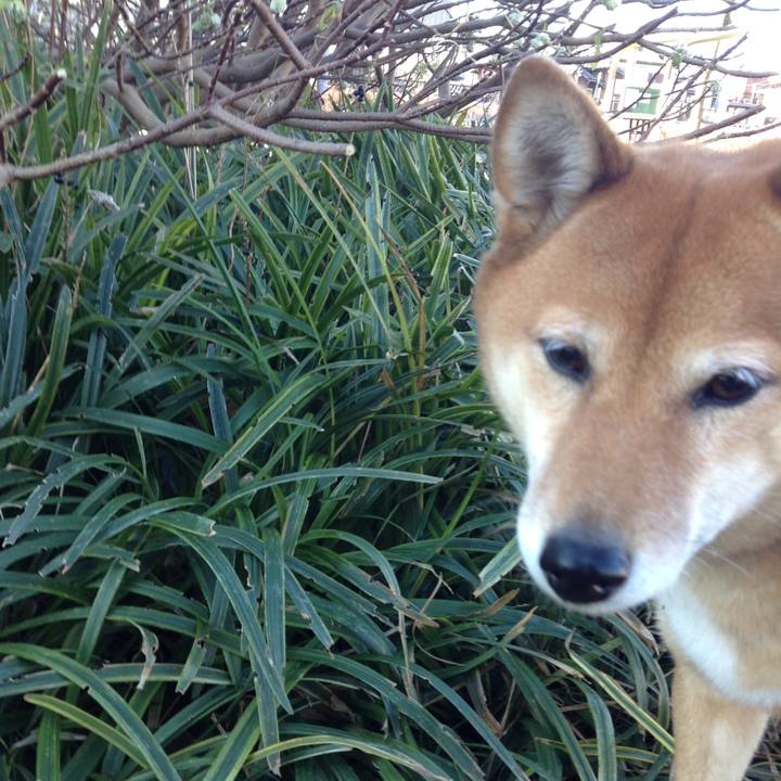 259a7210 3366 4d03 8edf 3f7dba5802a8