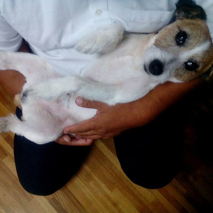 259a7253 ad7d 4a00 bb6f ef914711783d