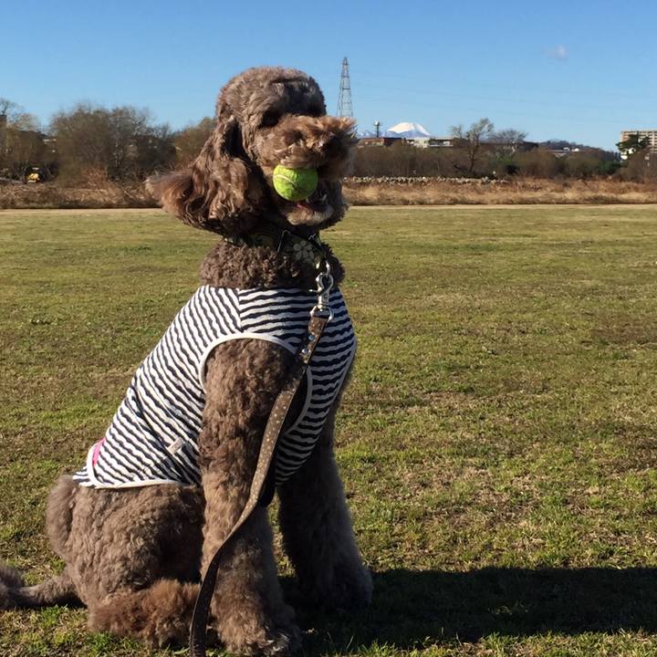 259bc77e eff8 4a0c b31c e09efe72dd6d