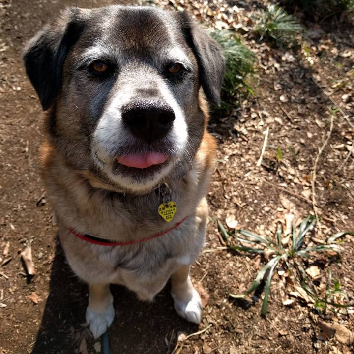 259be896 a7f7 49a3 b299 54313fe49b3f