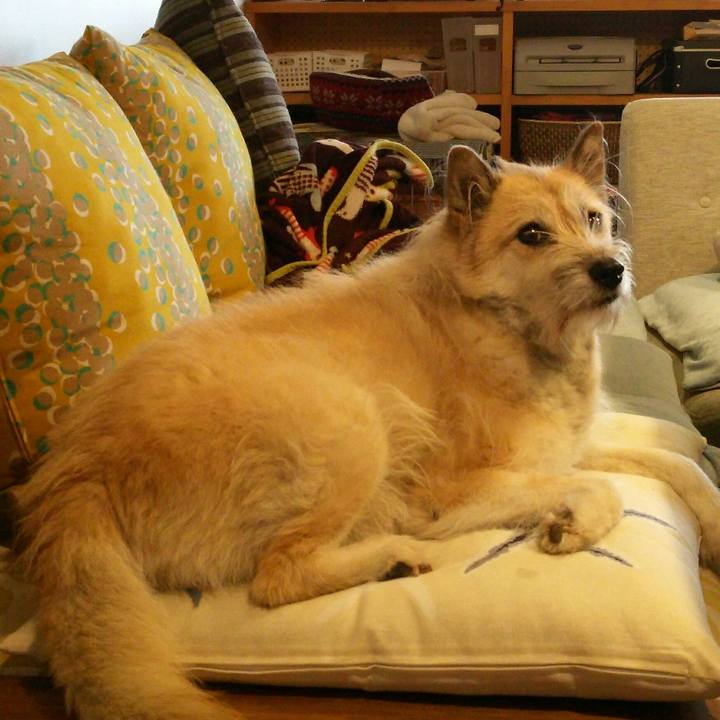 259bec0f d0df 4104 b21d 1b5c52e6c505