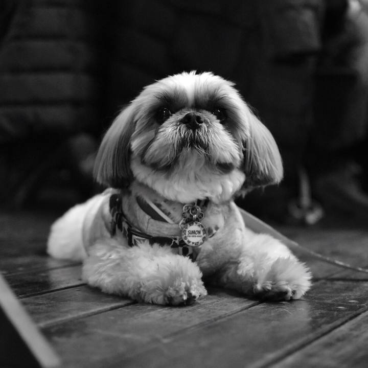 259c9ad9 9372 496c acc6 f95bd22dc7d2