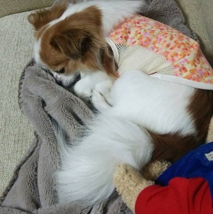 259d46e7 6563 4623 af6e c19e11ad8189