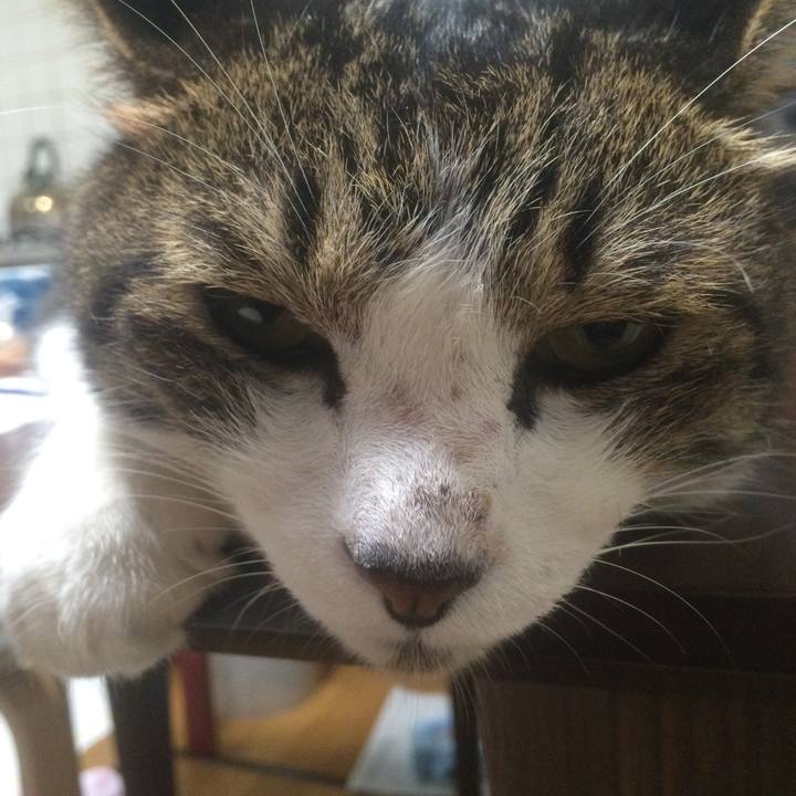 259d6c2c fa6d 4cbf 8137 461ddde32faa