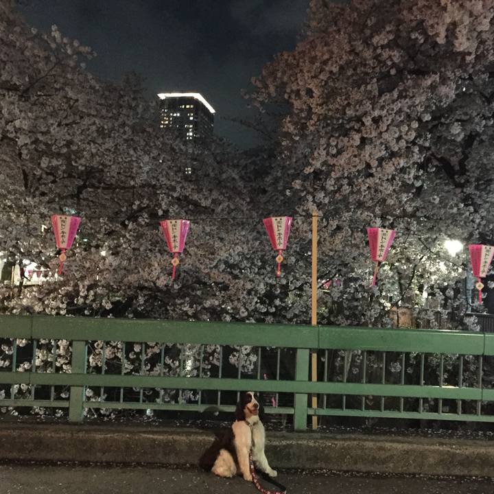 259e876b f8c8 4d83 9fd2 bc2144af9358