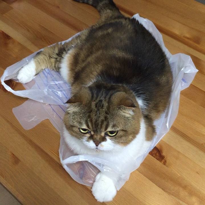 259eb0ce 998f 4cd5 8de4 37250eb4fee0