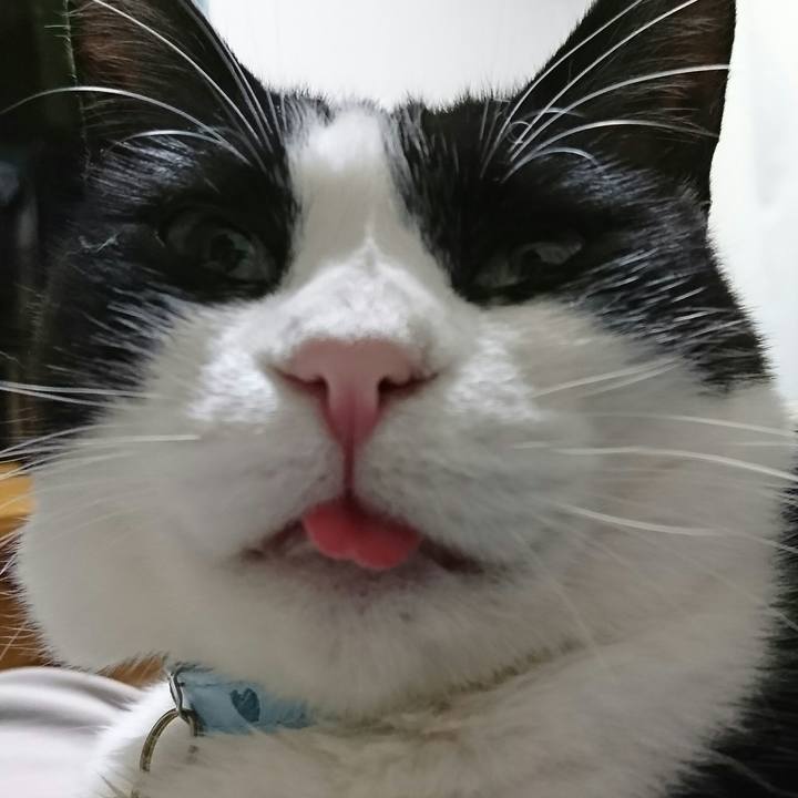 259f42f9 f834 4e2b bcc7 073b4f5fdb90