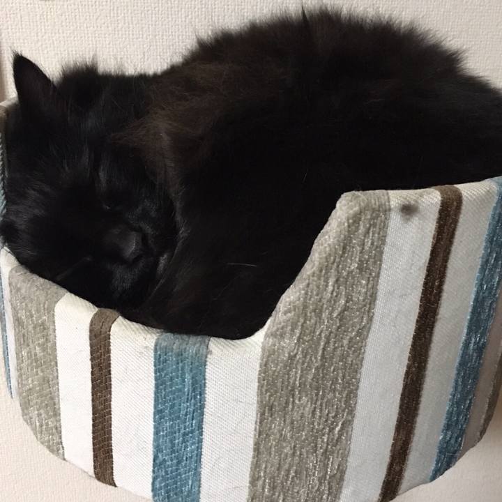 259f6d3b 8004 4aa6 83c3 310b019d6686